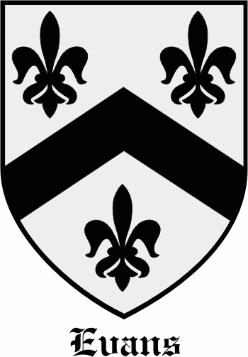 Heavin family crest